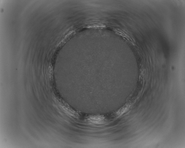 X0000067910659200604131345