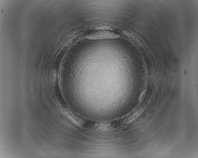 X0000067910660200604131345