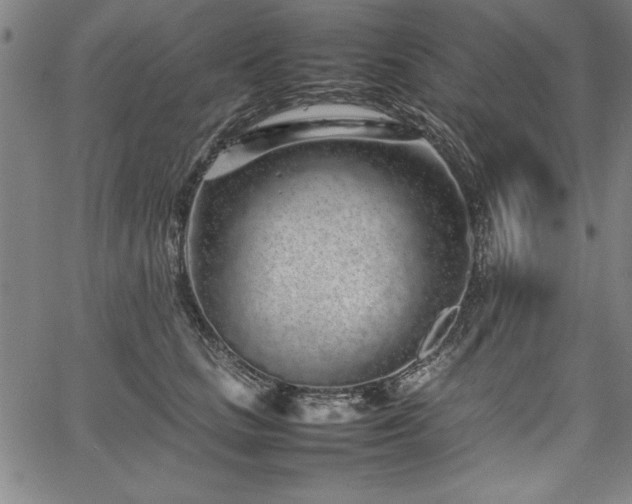 X0000067910661200604131345