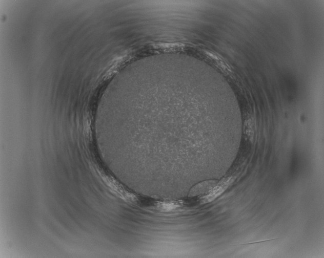 X0000067910662200604131345