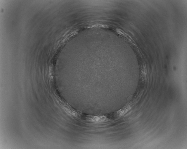 X0000067910663200604131345