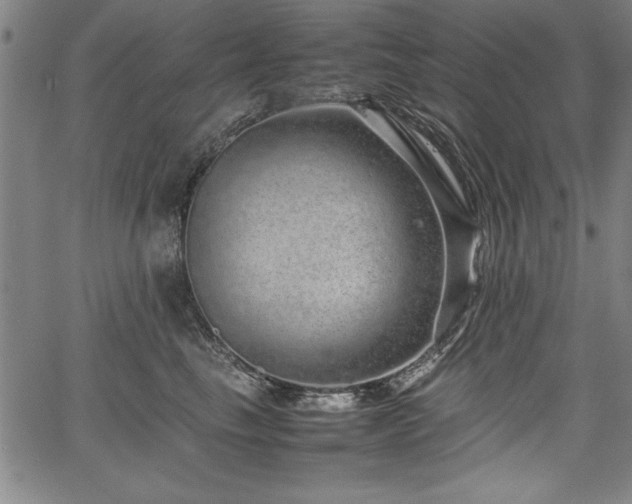 X0000067910665200604131345