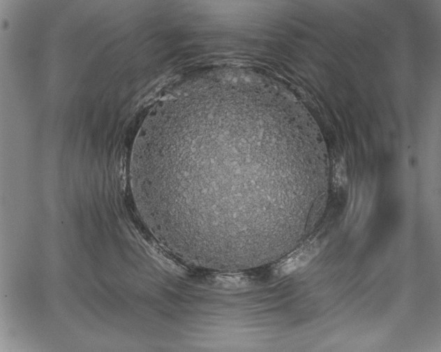 X0000067910666200604131345