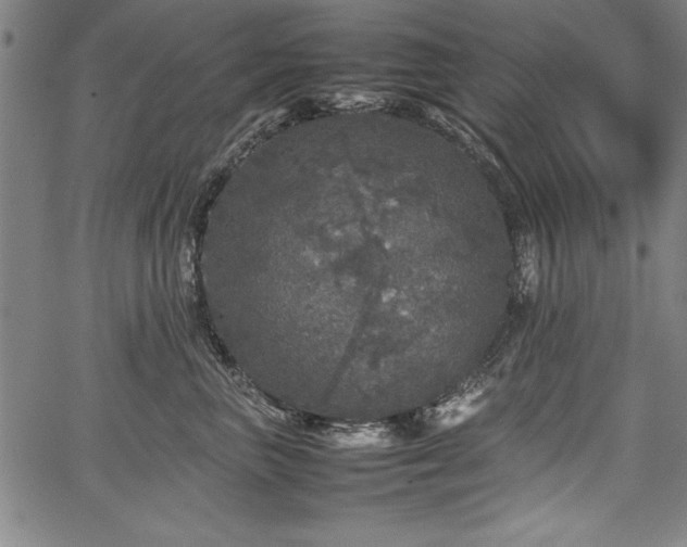 X0000067910667200604131345