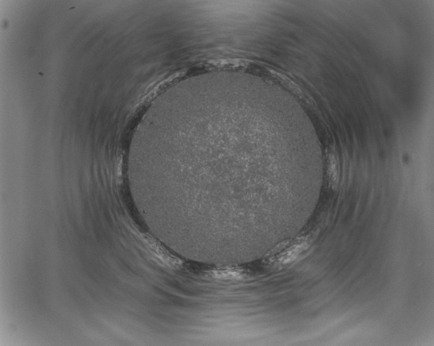 X0000067910668200604131345