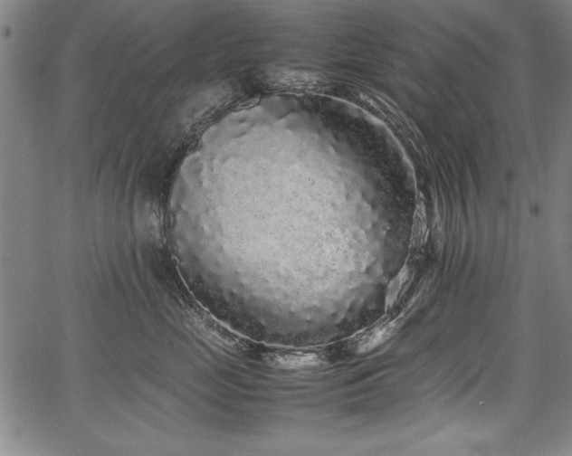 X0000067910669200604131345