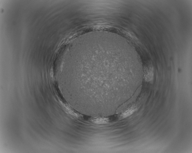 X0000067910670200604131345