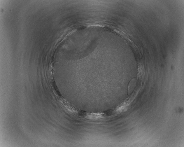 X0000067910671200604131345