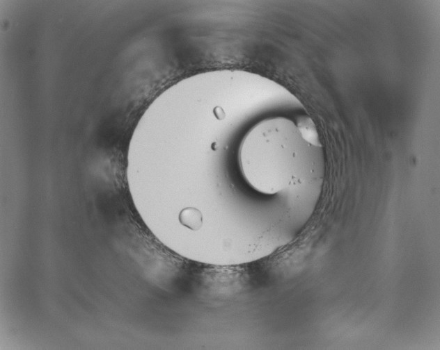 X0000067910672200604131345