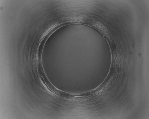 X0000067910674200604131344