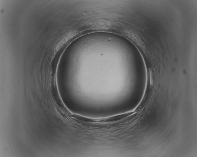 X0000067910675200604131344