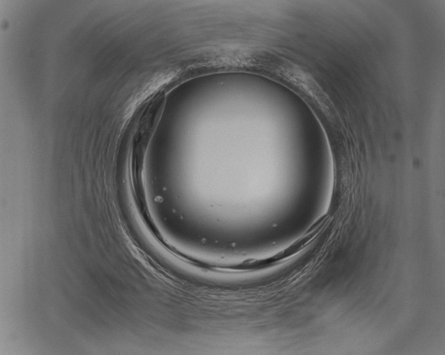 X0000067910677200604131344