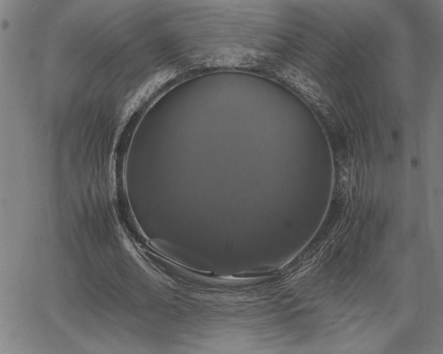 X0000067910678200604131344