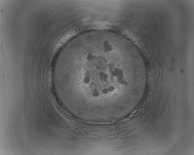 X0000067910679200604131344