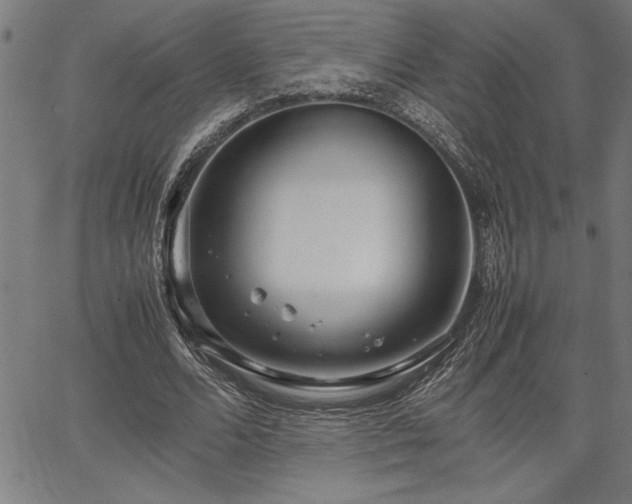 X0000067910680200604131344