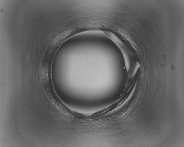 X0000067910681200604131344