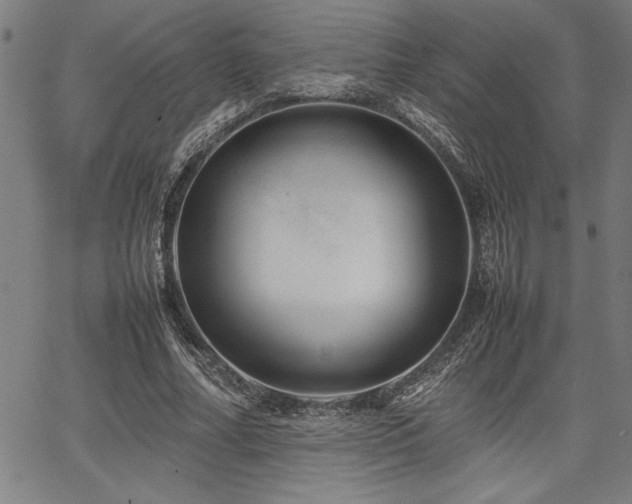 X0000067910682200604131344