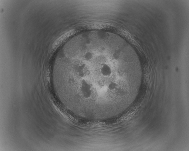 X0000067910683200604131344