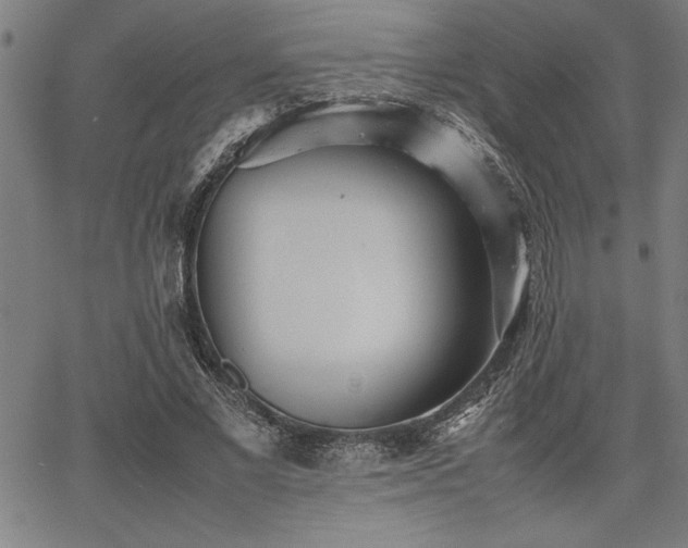 X0000067910685200604131344