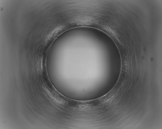 X0000067910686200604131344