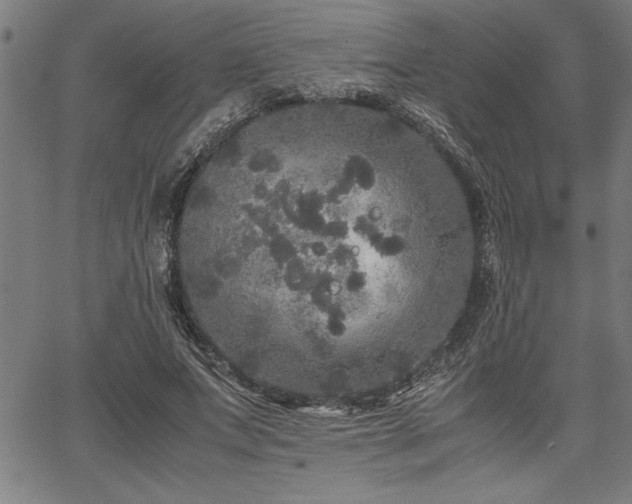 X0000067910687200604131344