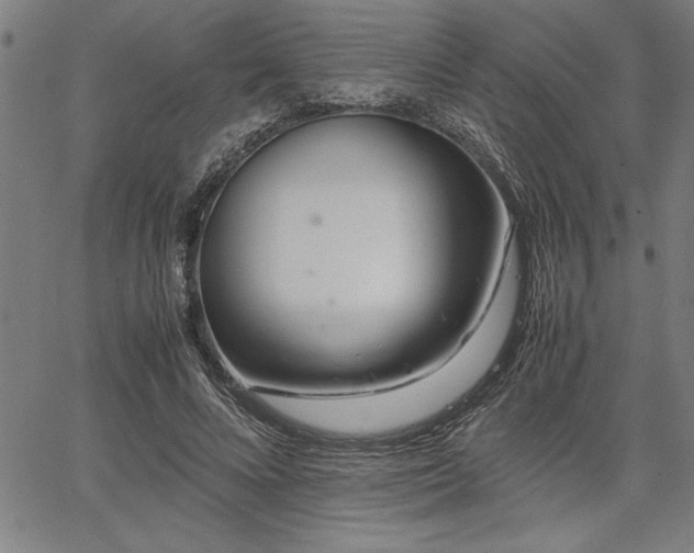 X0000067910688200604131344