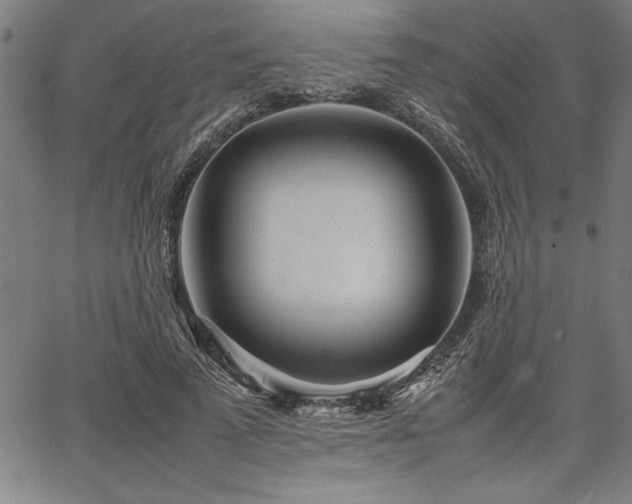 X0000067910689200604131344