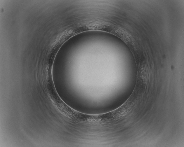 X0000067910690200604131344