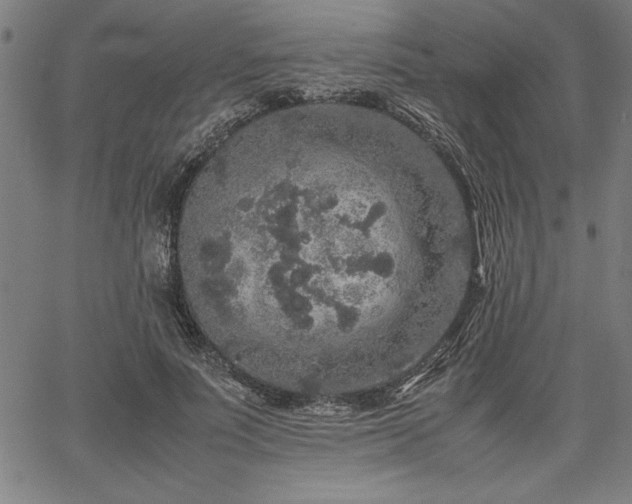 X0000067910691200604131344