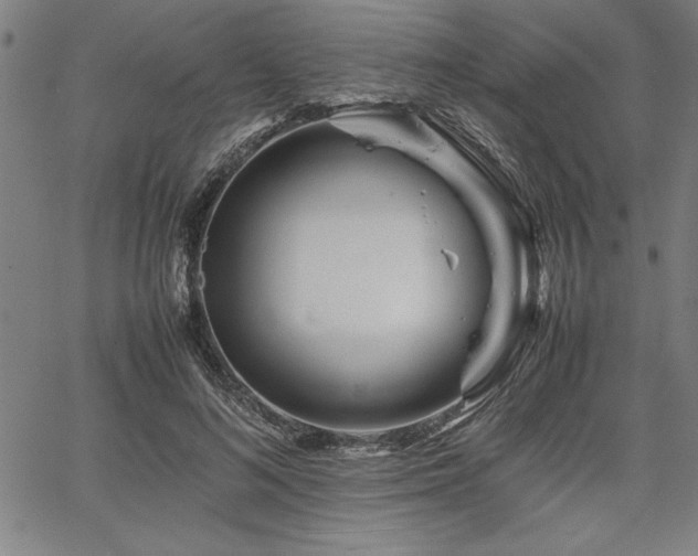 X0000067910692200604131344