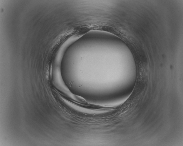 X0000067910693200604131344