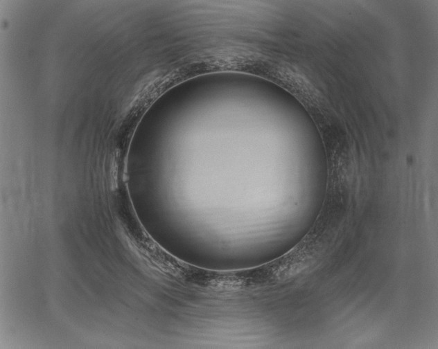 X0000067910694200604131344