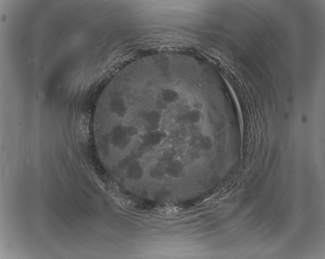 X0000067910695200604131344