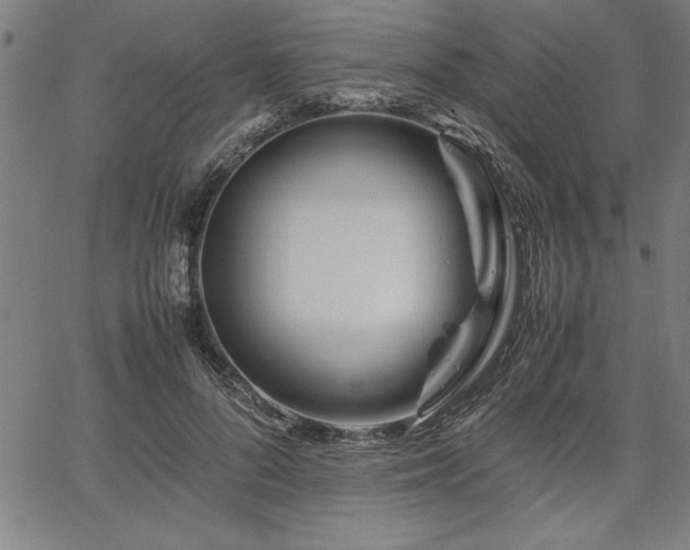 X0000067910696200604131344