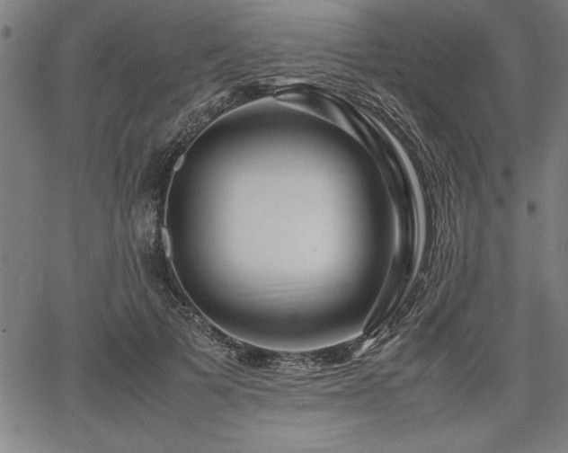 X0000067910697200604131344