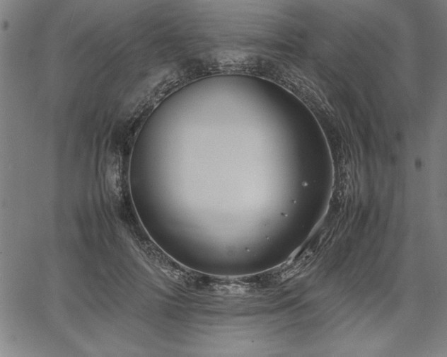 X0000067910698200604131344