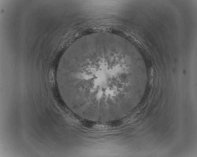 X0000067910699200604131344