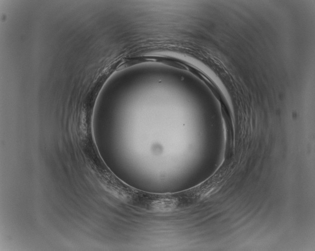 X0000067910700200604131344