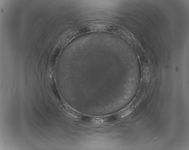 X0000067910701200604131344