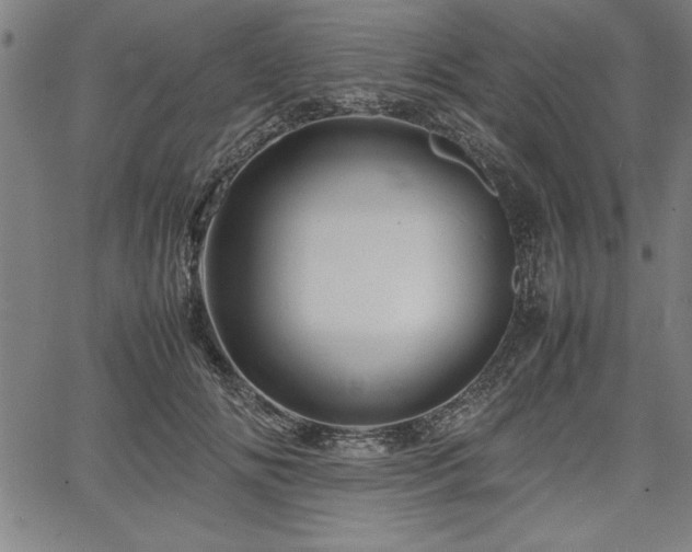 X0000067910702200604131343