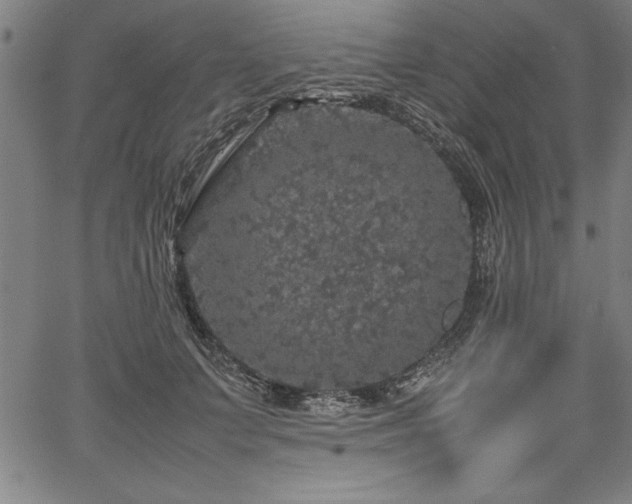 X0000067910703200604131343