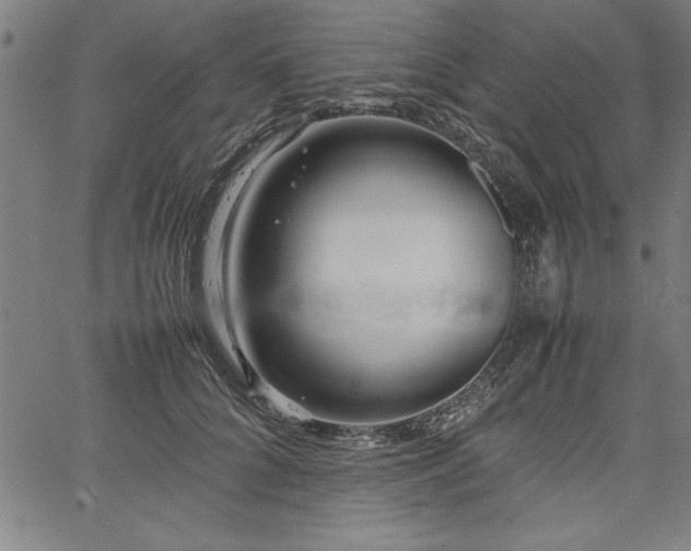 X0000067910704200604131343