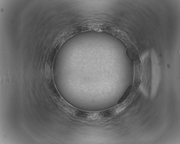 X0000067910705200604131343