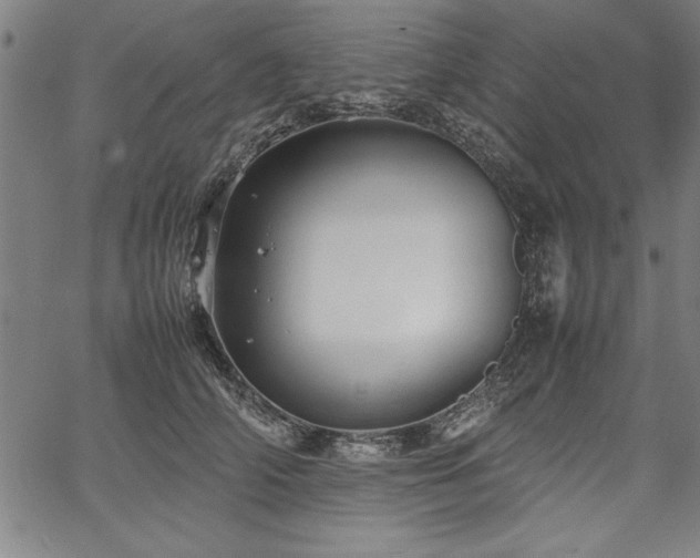 X0000067910706200604131343