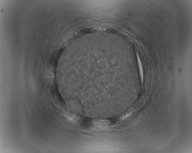 X0000067910707200604131343