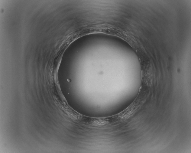 X0000067910708200604131343