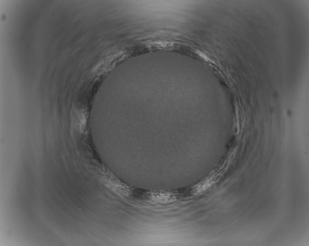 X0000067910709200604131343