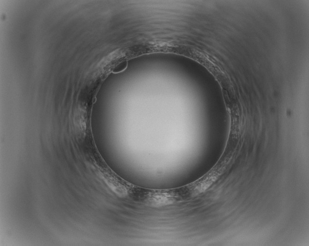 X0000067910710200604131343