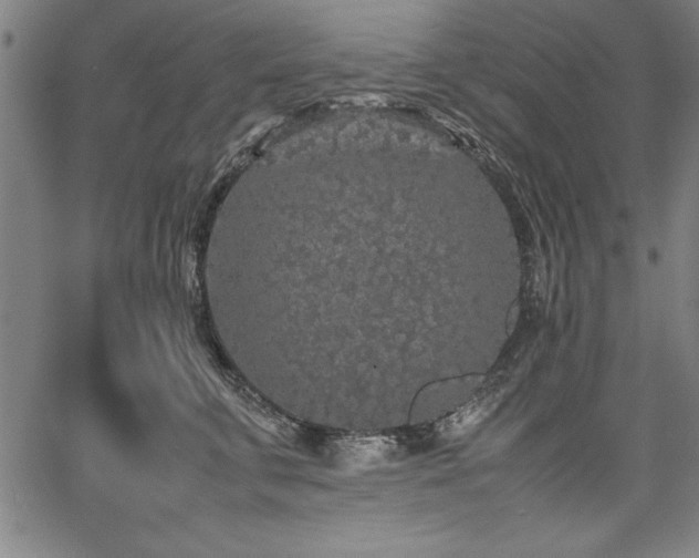 X0000067910711200604131343