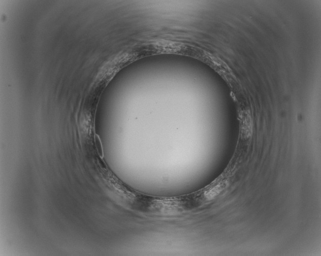 X0000067910713200604131343